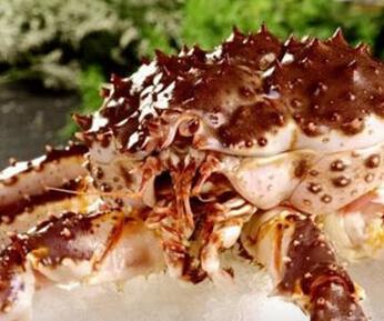 深海里面的霸道总裁—帝王蟹的营养及做法
